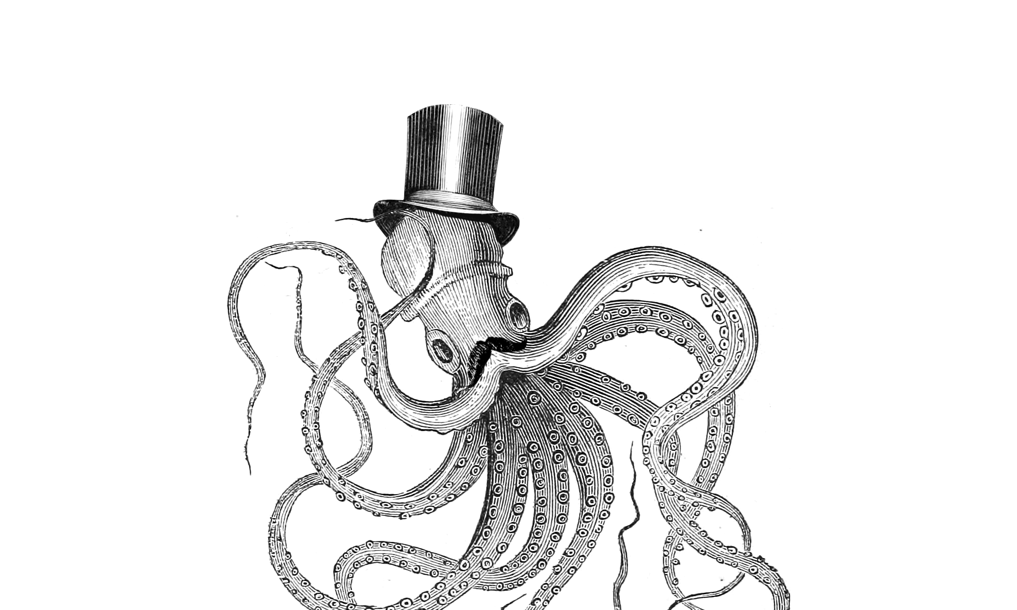 octopus wearing a hat