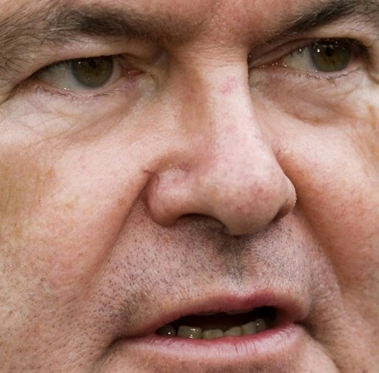 Newt Gingrich.
