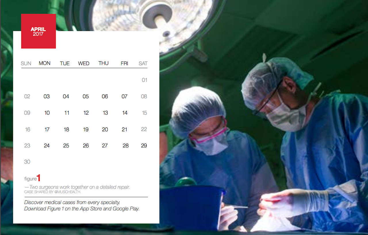 An image from Figure 1's first calendar.