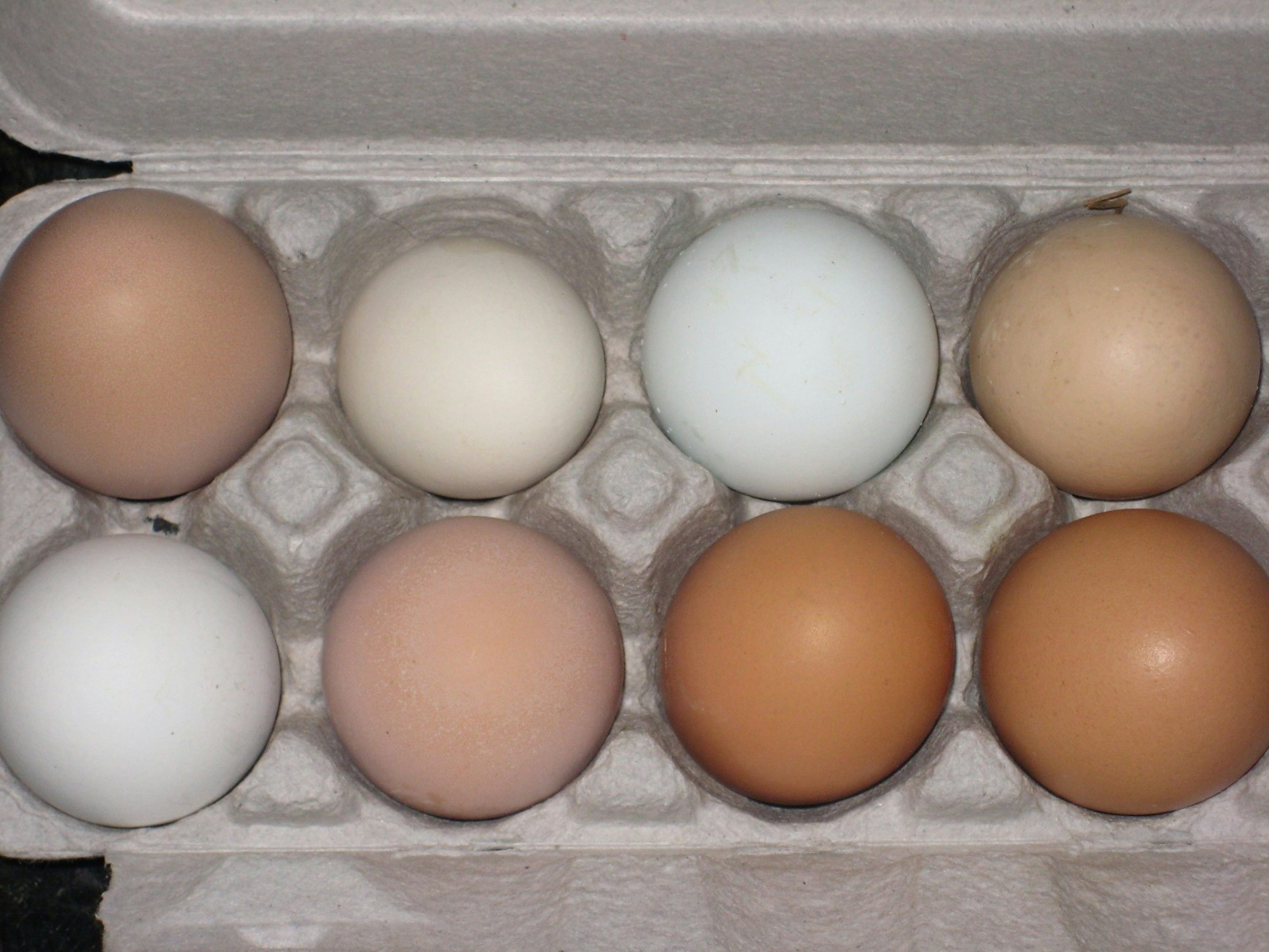 Яйцо при сахарном диабете 2. Яйцо при сахарном диабете 2. Сахарный диабет яйца. Яйцо и лимон при сахарном диабете. Желток перепелиного яйца.