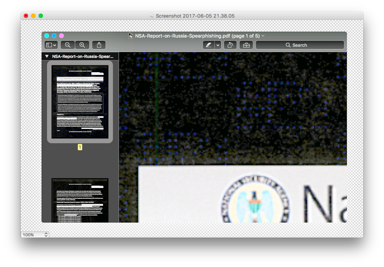 Microdots on the document leaked by Reality Winner.