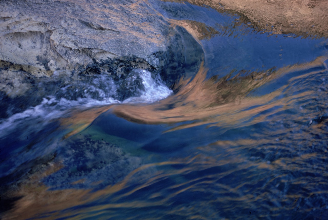 Dreams about water are incredibly common.