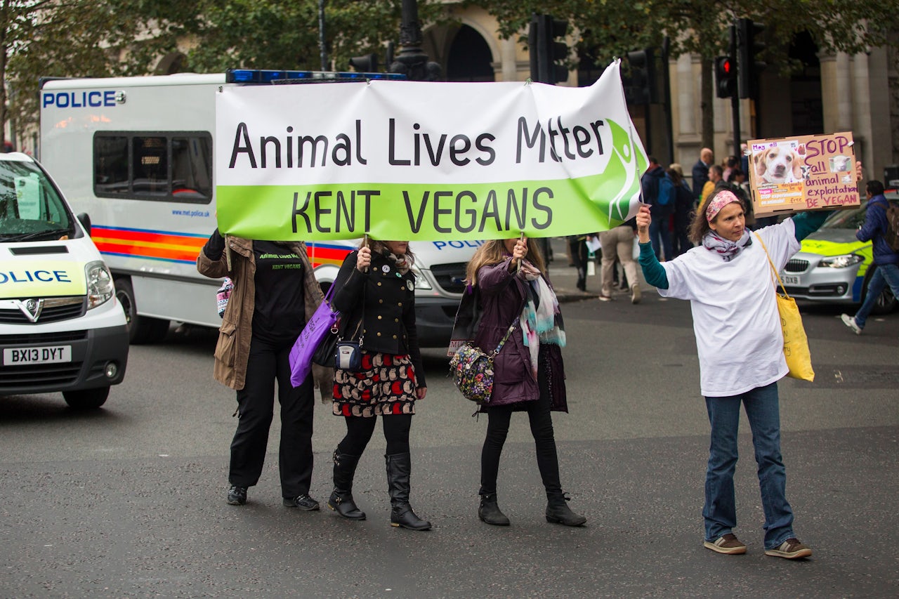 Color and class blindness hurt pro-vegan and vegetarian causes.