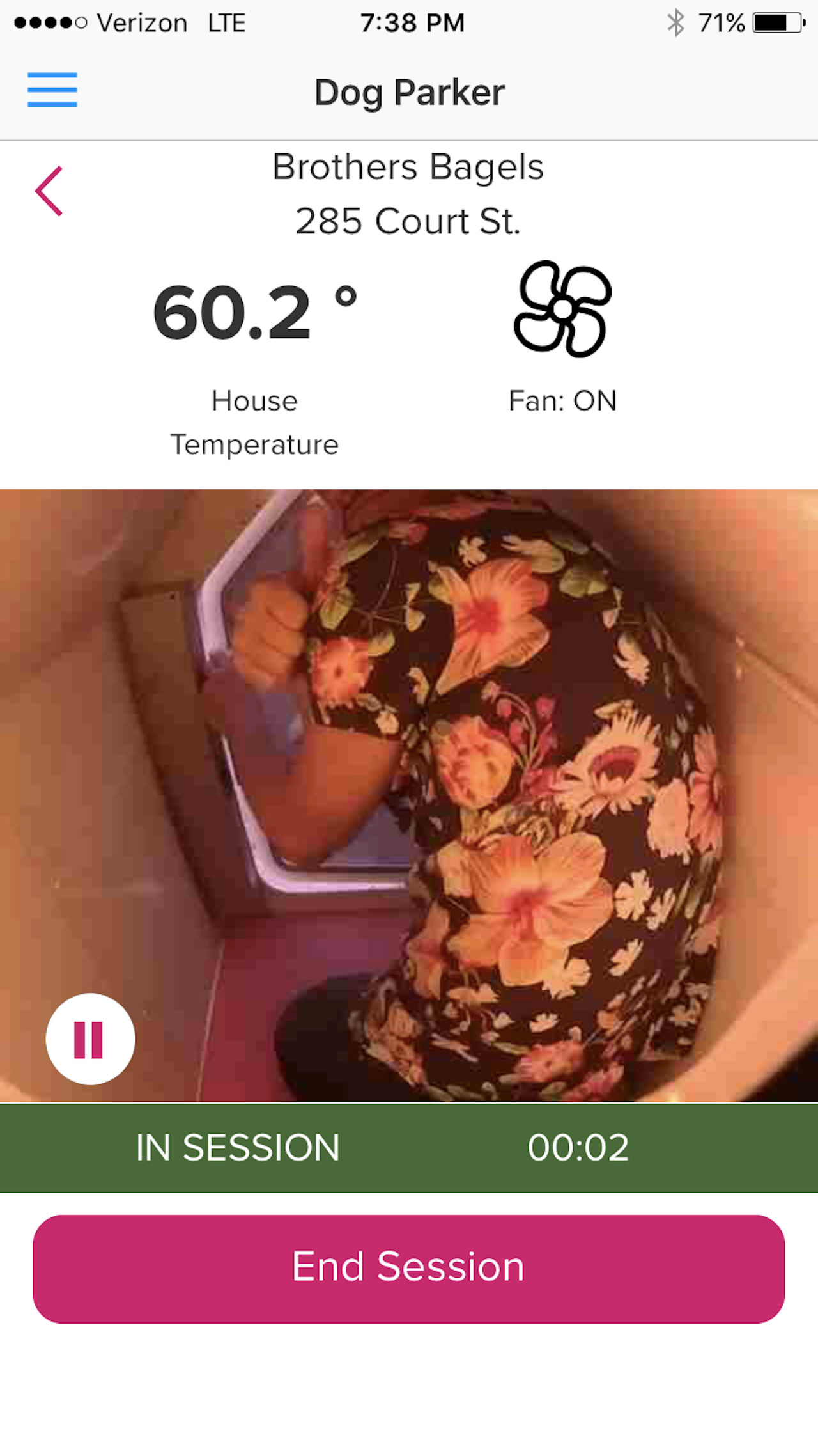 The Dog Parker app includes a livestream from inside the house. This screenshot was taken while the author was inside.