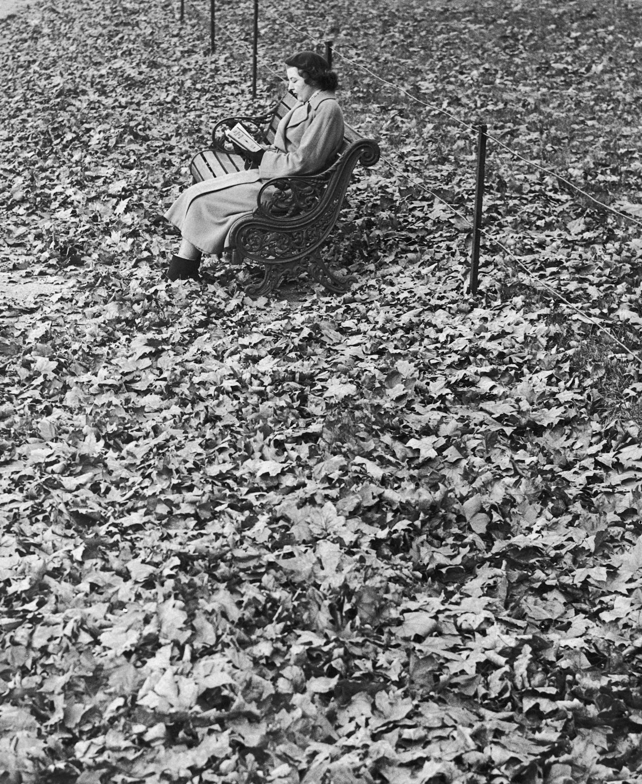 A Londoner enjoys an autumn day in 1950.