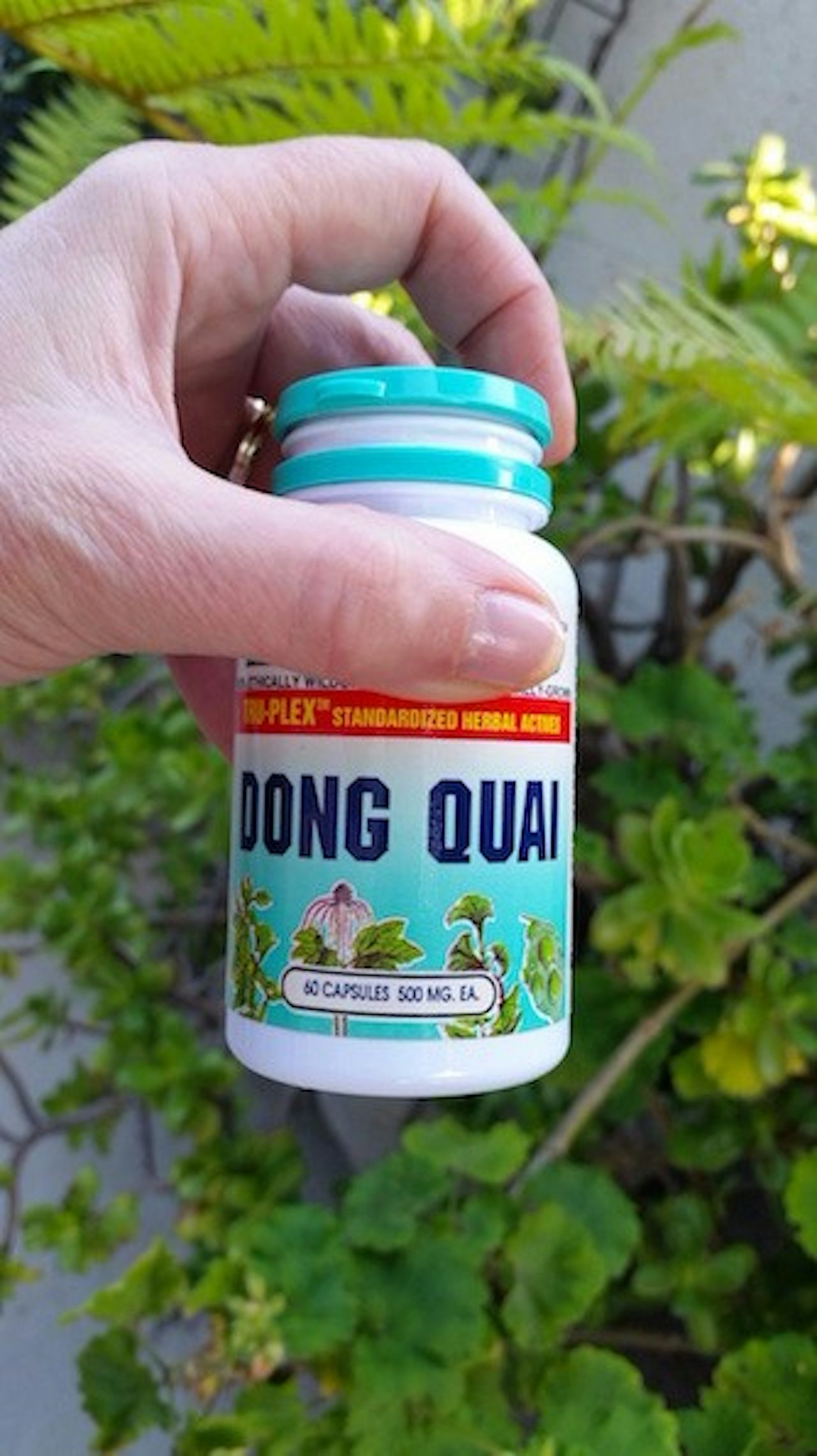 Dong Quai is used to treat menstrual cramps. Some believe it stimulates estrogen.