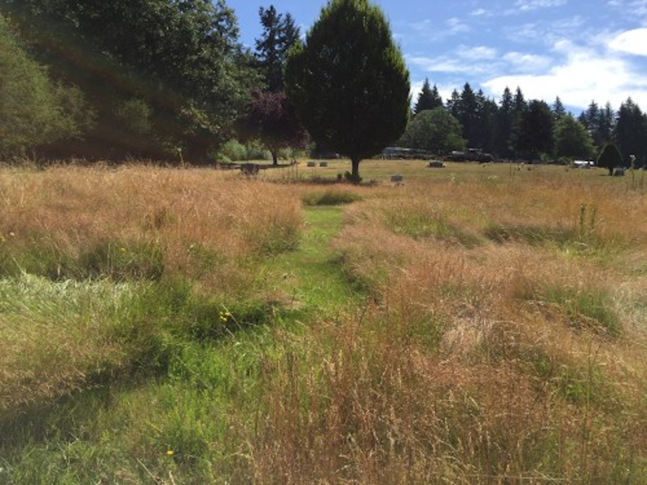 This section of Oak Hill Cemetery is used exclusively for natural burials. The grass is mowed just twice a year in order to maintain the hill’s pastoral quality.