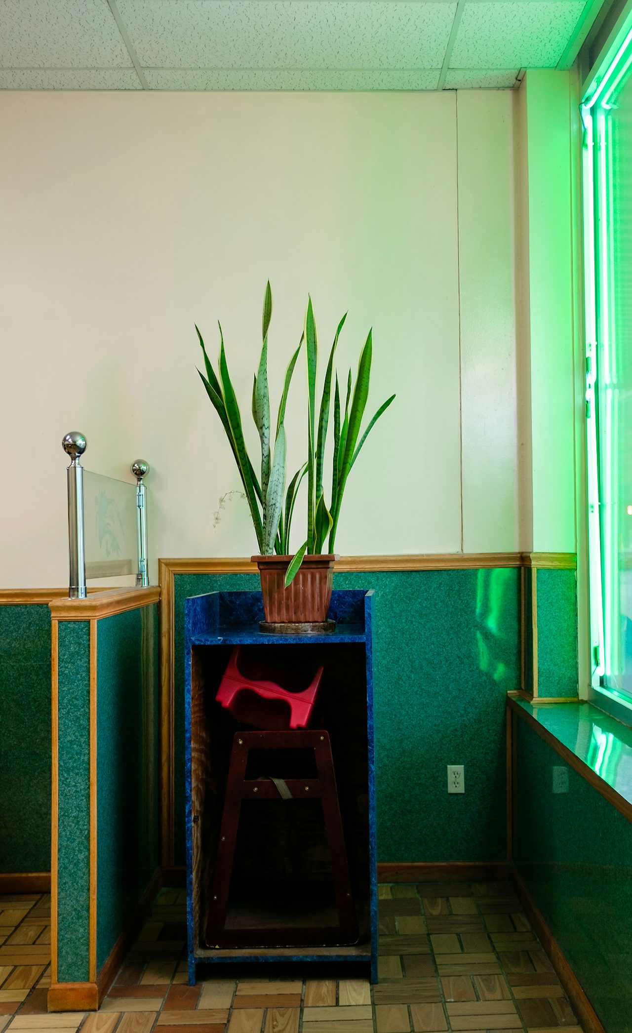 The restaurant is decorated with various plants to keep it lively.