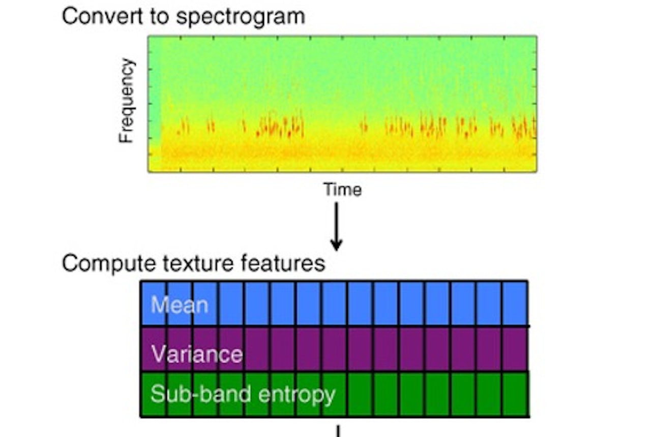A visualization of the raw sound data, and the three components that the machine learning system used to distinguish bird sounds from the ambient tundra environment.