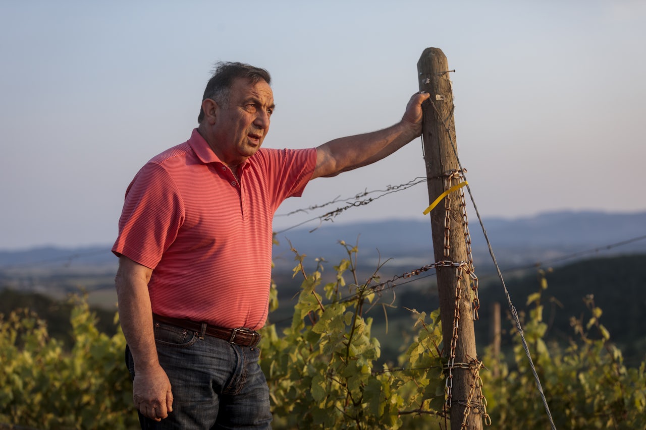 Moe Momtazi says a nearby marijuana farm is tainting his grapes.