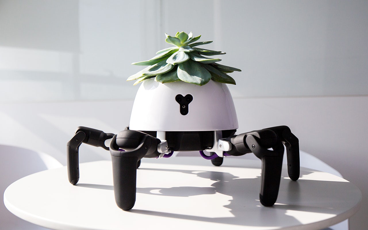 An adorable sixlegged robot will save your succulents The Outline