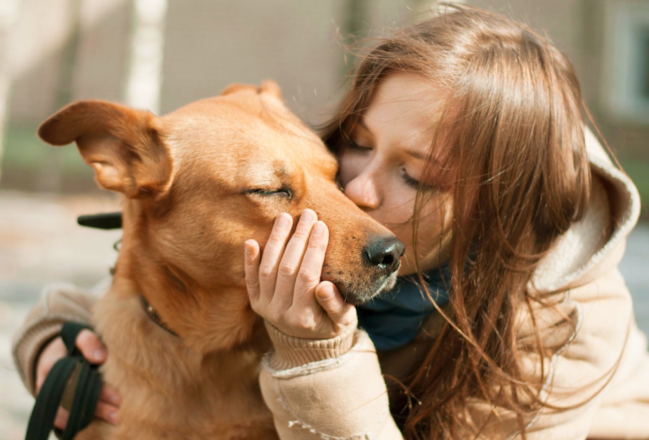 Dogs Always Know When You Re Sad But Only Some Rush To Your Aid The Outline