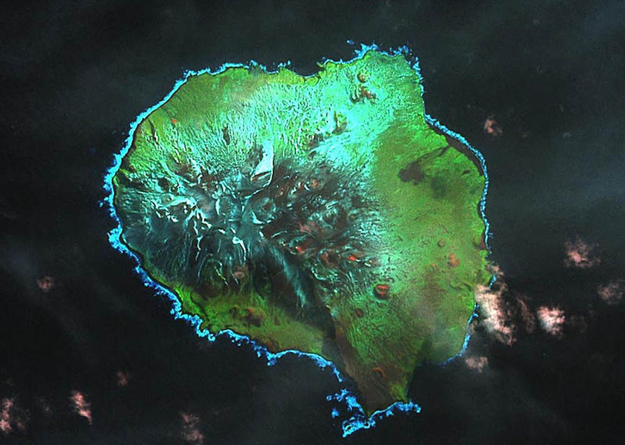 A satellite image of Ile aux Cochons, a remote island in the Indian Ocean that's south of Madagascar and north of Antarctica.