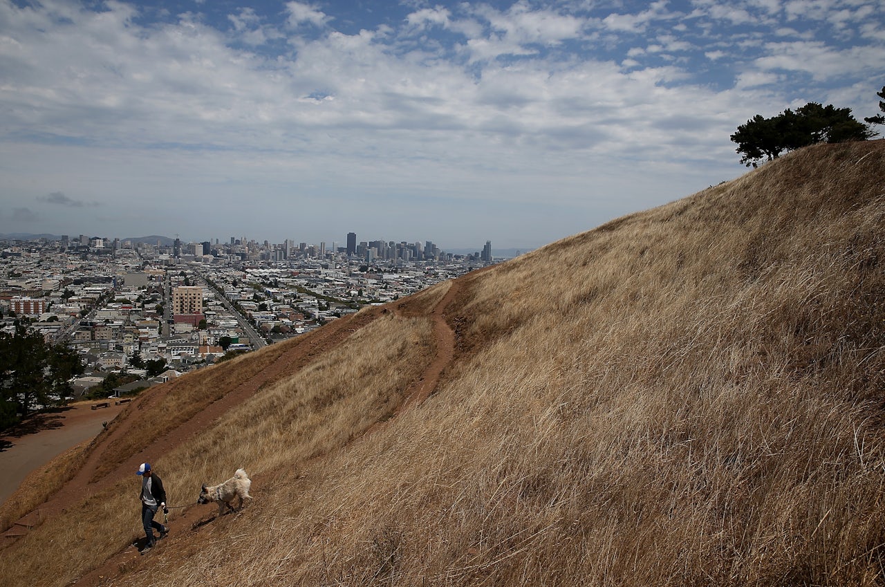 A browned park in San Francisco as photographed in July 2014 during California's drought. The state didn't have any laws regulating the allocation of its groundwater supply, used for drinking and agriculture, until 2014, at the very end of three years of drought.