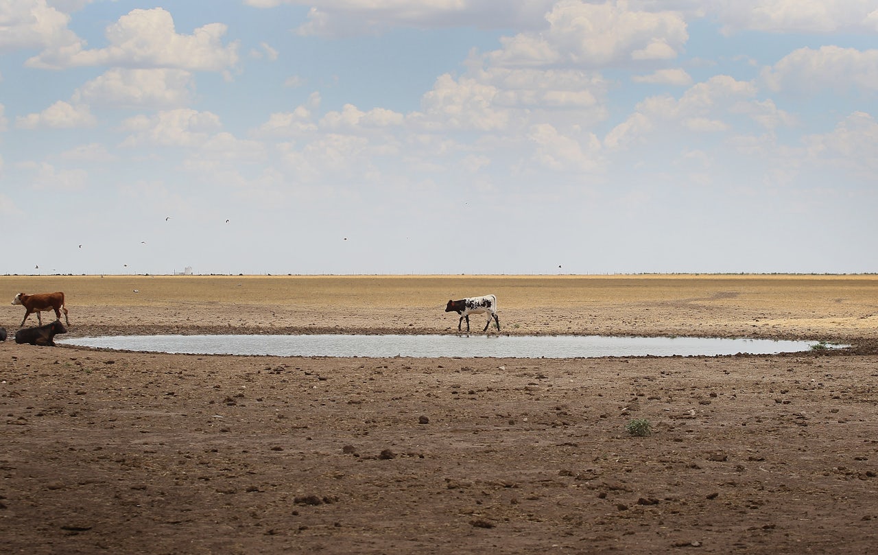 Central Texas as photographed in 2011 when a heat wave coincided with a severe drought that exacerbated shortages of water, grass, and hay.