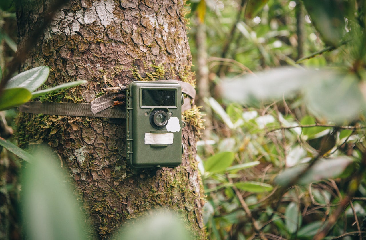 Фотоловушка. Trail Camera sl122m. Фотоловушки. Фотоловушка в лесу. Камера для леса.