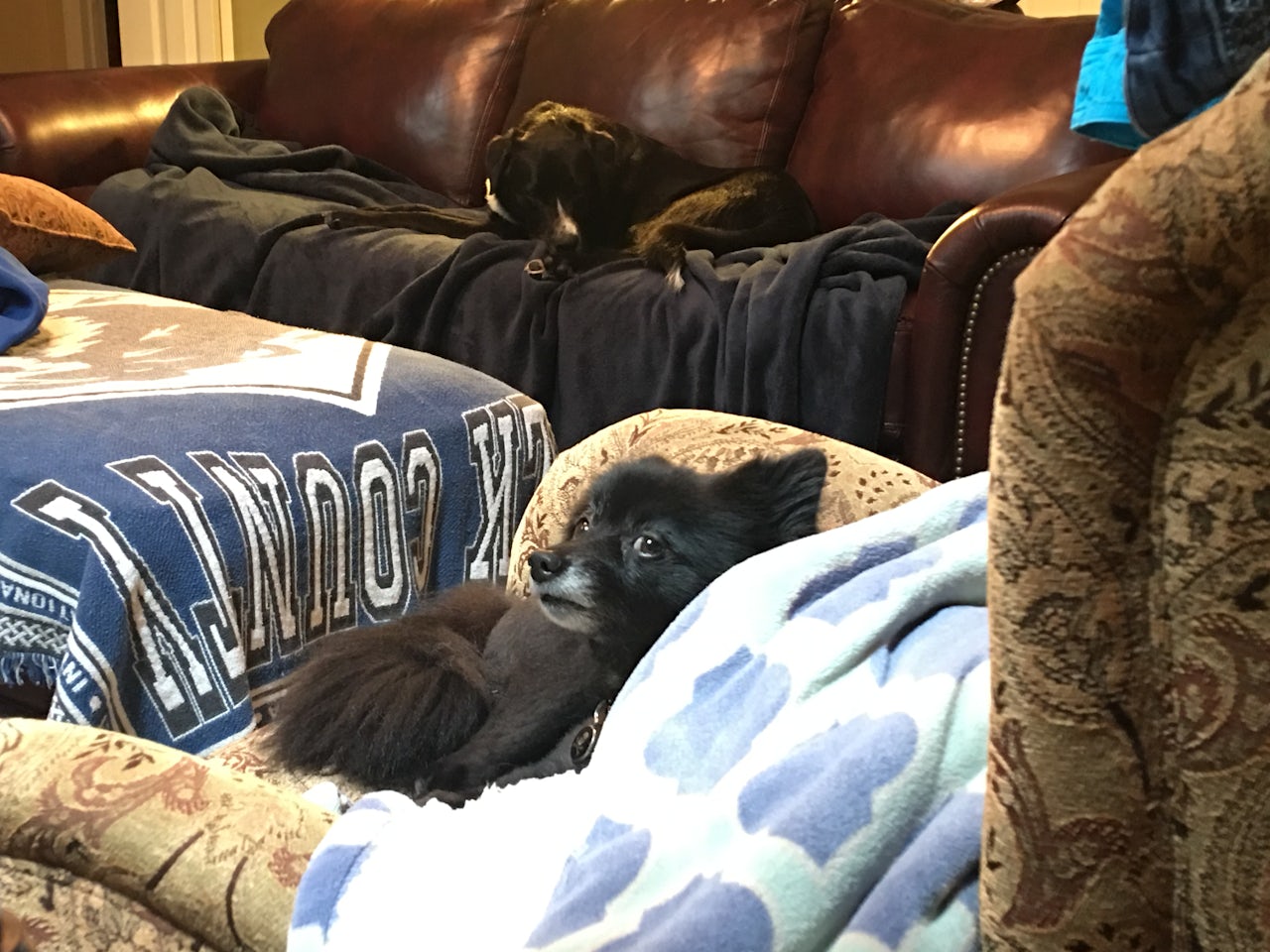 Nora feeling wary of Percy