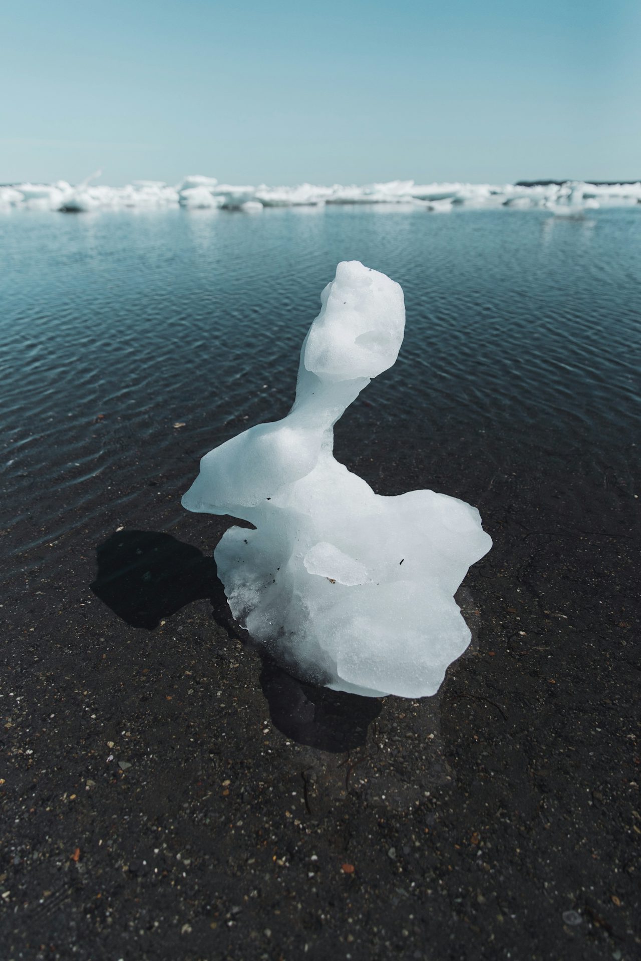 On the coast of Newfoundland, sea ice washes up on black sand beaches in formations that recall surreal chess pieces.