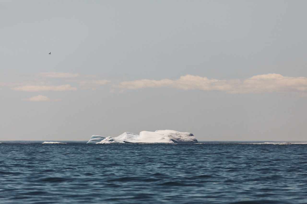 An iceberg in the distance, in Twillingate, Newfoundland.