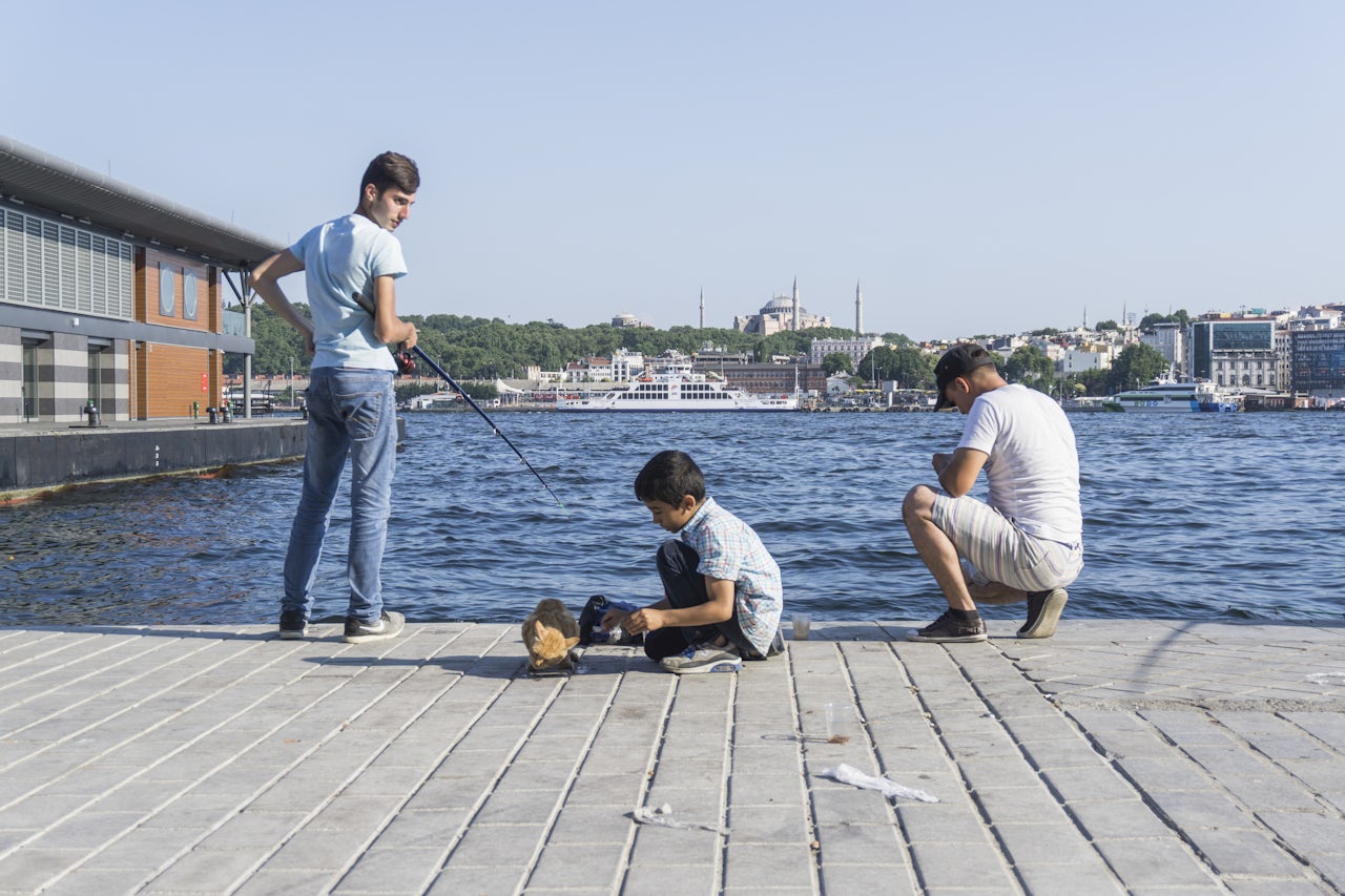 A boy feeds a fresh fish to one of the stray cats in the port of Karaköy.