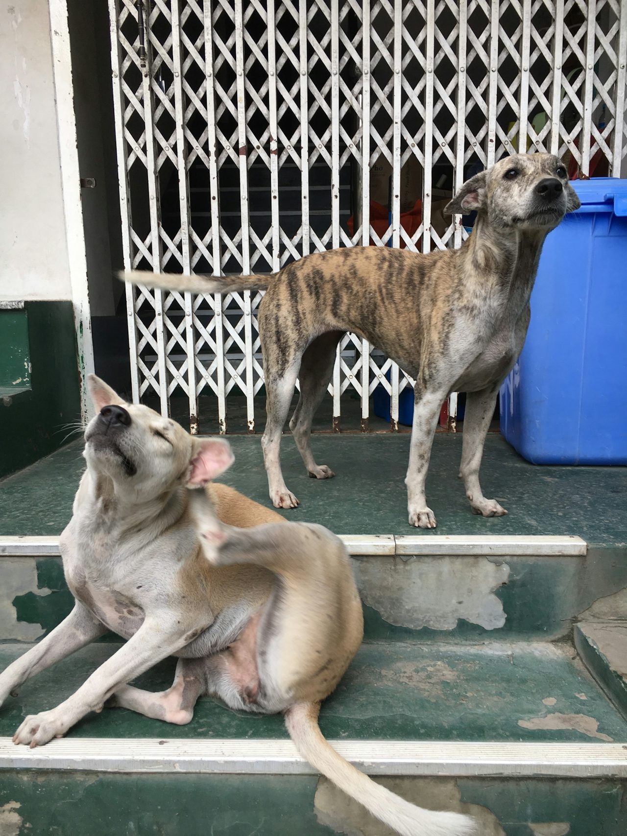 Robert's two sisters, who are still alive and well. All photos and screenshots by Jacob Goldberg.