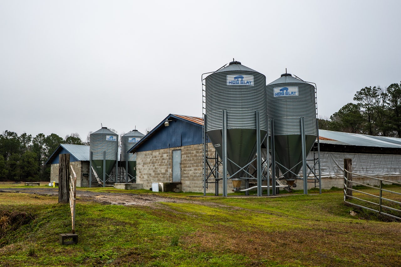 Major Murray Farm, which neighbors Elsie Herring’s house.