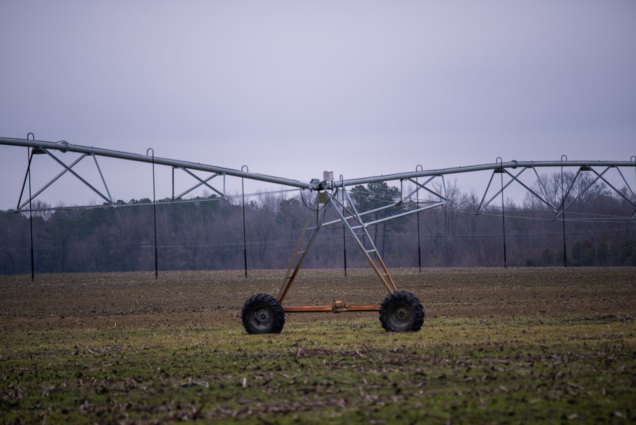 A sprayfield at a hog facility.
