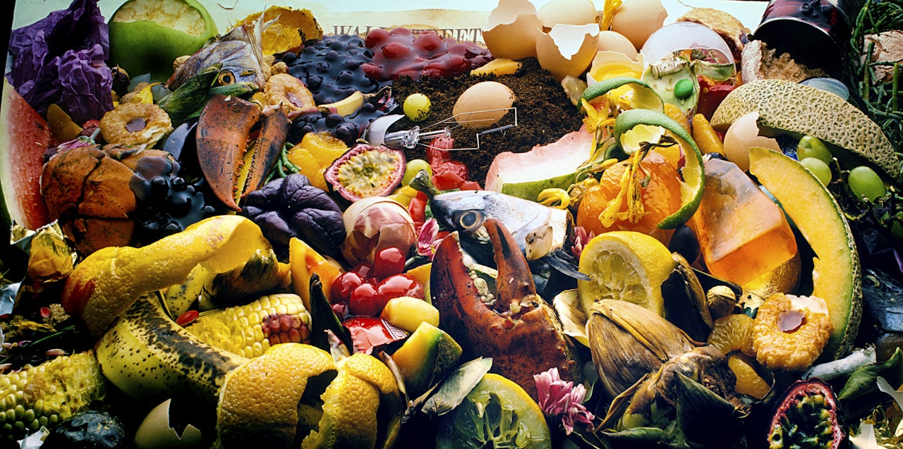 Thumbnail of The war on food waste is a waste of time