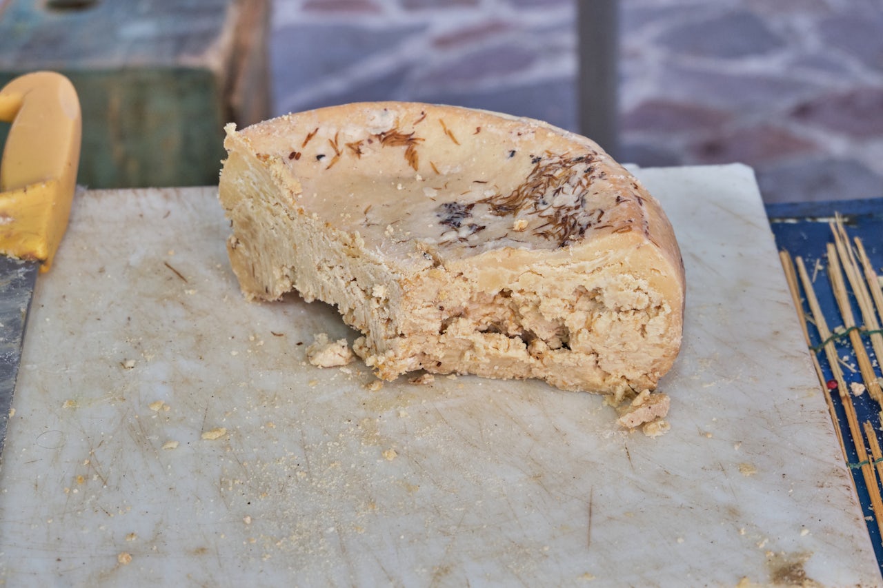 Casu marzu, in all its maggoty glory.